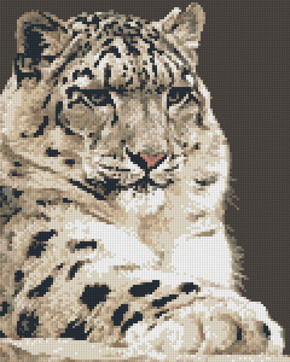 Leopard Print – Pixel Art USA