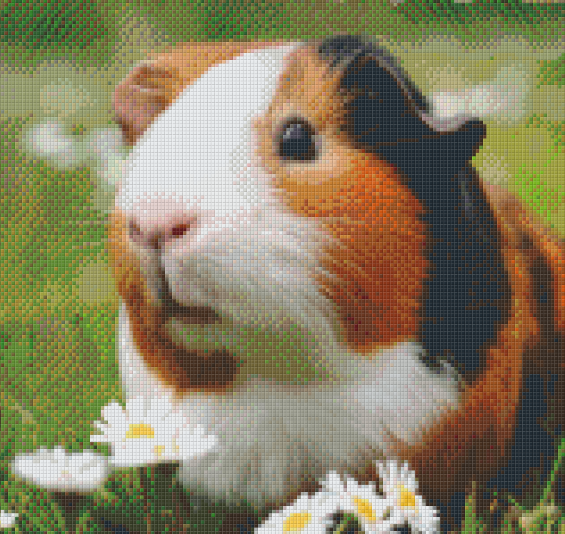 Guinea Pig – Pixel Art Usa