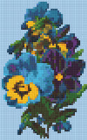 Pansies