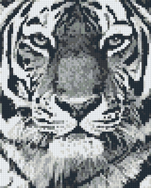 Tiger Portrait Black and White