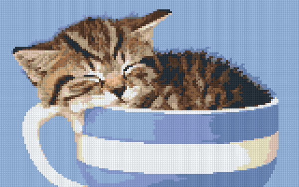 Kitten in a Cup