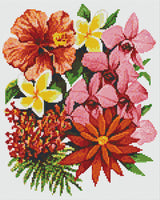 Tropical Flowers of Oz