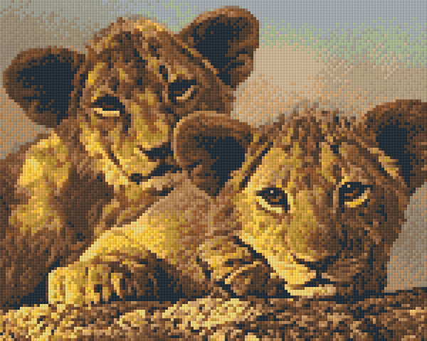 Lion Cubs