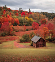 Cabin in Vermont