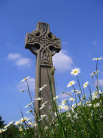 Celtic Cross in a Field of Daisies