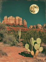 Moon Over the Desert