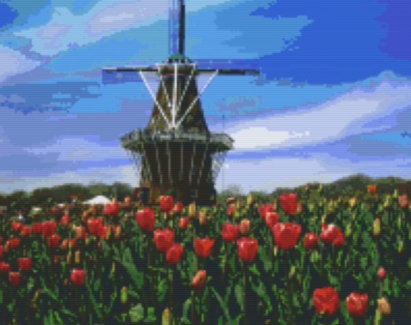 Windmill and Red Tulips