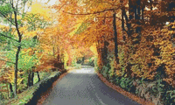 Autumn Road Photo