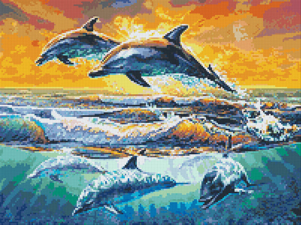 Dolphins at Dawn
