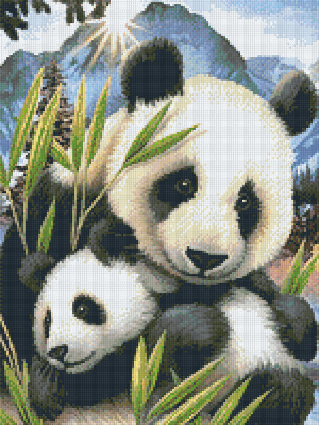 Panda and Cub