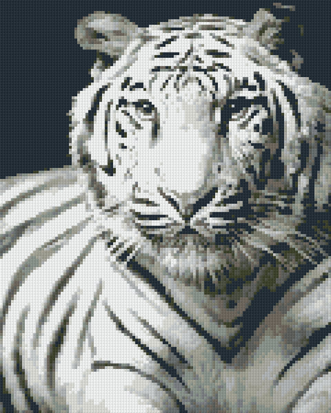 White Tiger