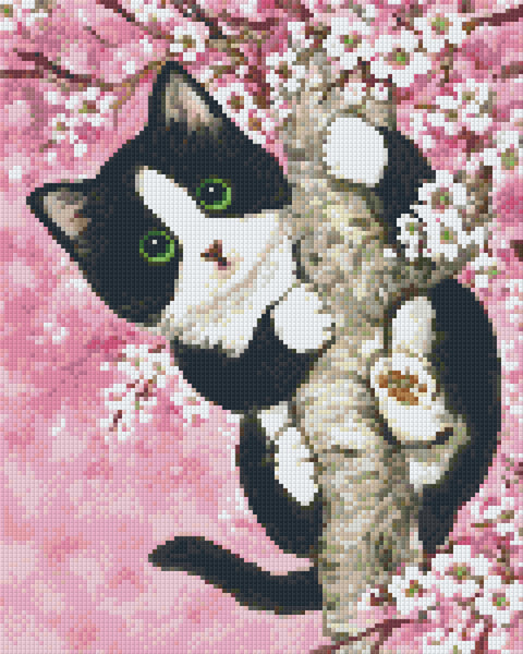 Cherry Blossom Cat