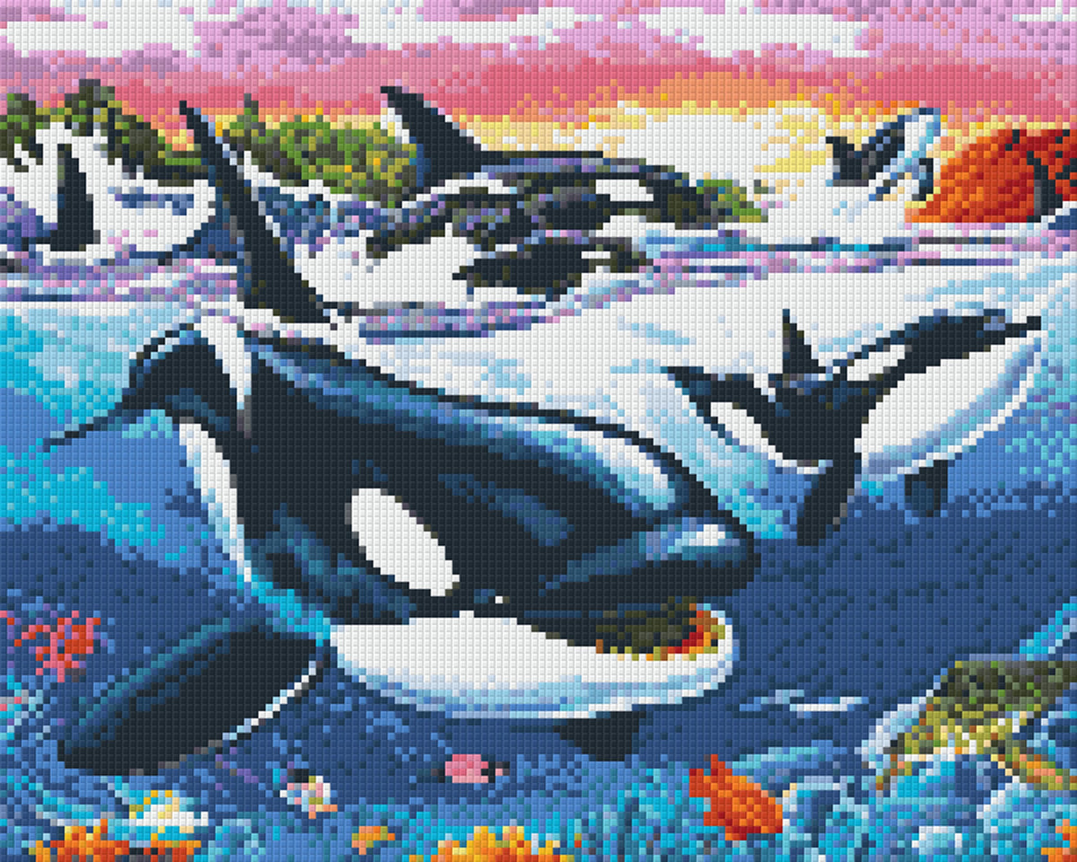 Killer Whales – Pixel Art USA