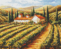 Toscana Vineyard