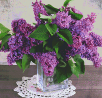 Lilacs